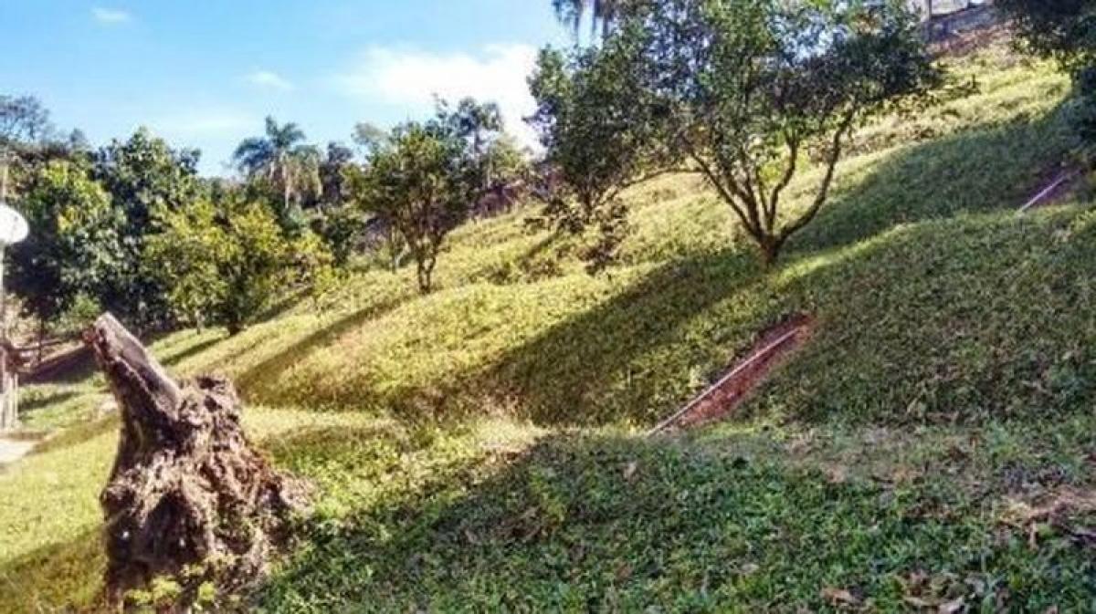 Дом с 3 спальнями в Сан-Паулу, Бразилия № 498012