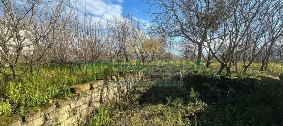 1-salle Terrain à Terzigno, Italy No. 91496 4