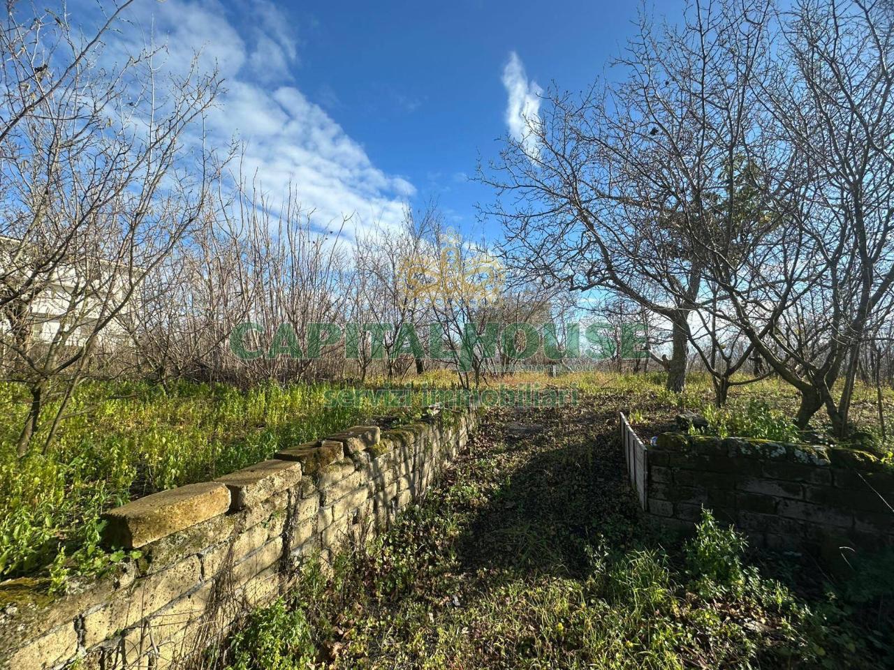 1-salle Terrain à Terzigno, Italy No. 91496