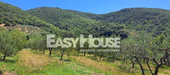 3 Schlafzimmer Haus in Castiglion Fibocchi, Italy, Nr. 281566 5