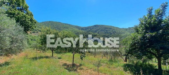 3 Schlafzimmer Haus in Castiglion Fibocchi, Italy, Nr. 281566 23