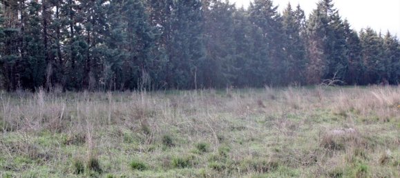 Hotel in Thessaloniki, Greece 6000m², Nr. 7969 3