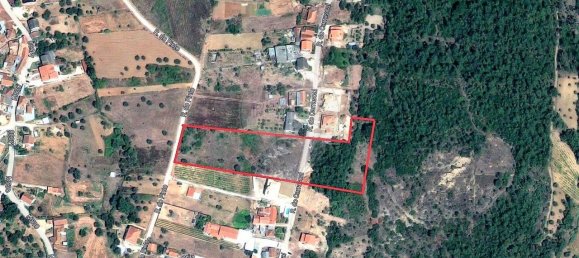 Terrain à Pombal, Portugal 11060m² No. 83321 6