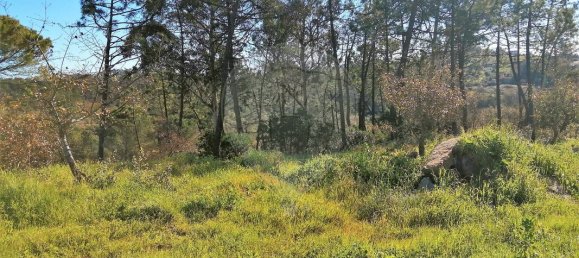 Terrain à Pombal, Portugal 11060m² No. 83321 3