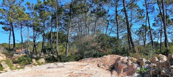 Terrain à Pombal, Portugal 11060m² No. 83321 5