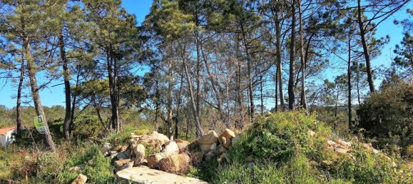 Terrain à Pombal, Portugal 11060m² No. 83321 4