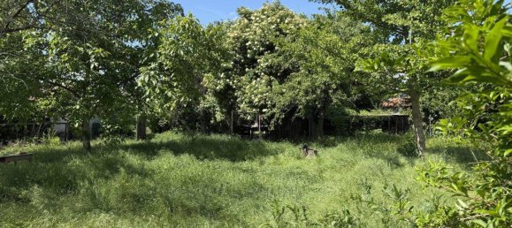 5 rooms House in Baden, Austria No. 175649 14