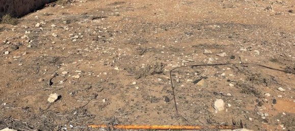  Land in La Oliva, Spain No. 153079 3