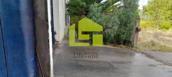 1m² Warehouse in Santarem, Portugal No. 92333 2