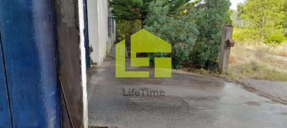 1m² Warehouse in Santarem, Portugal No. 92333 5