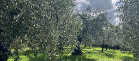 4 bedrooms House in Narni, Italy No. 50310 30