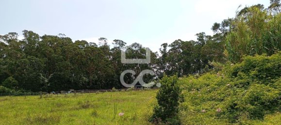  Land in Praia da Vitoria, Portugal No. 262403 2