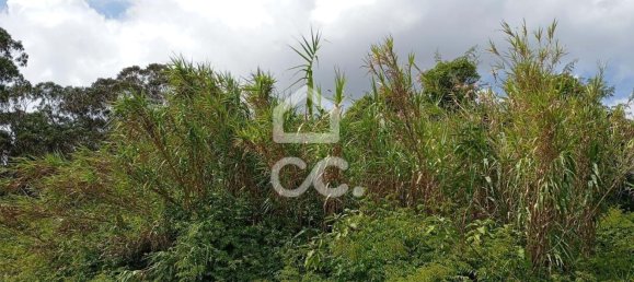  Land in Praia da Vitoria, Portugal No. 262403 12