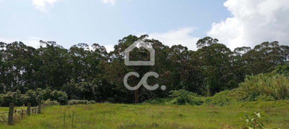  Land in Praia da Vitoria, Portugal No. 262403 11