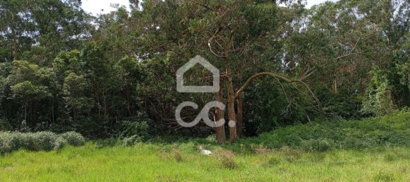  Land in Praia da Vitoria, Portugal No. 262403 9