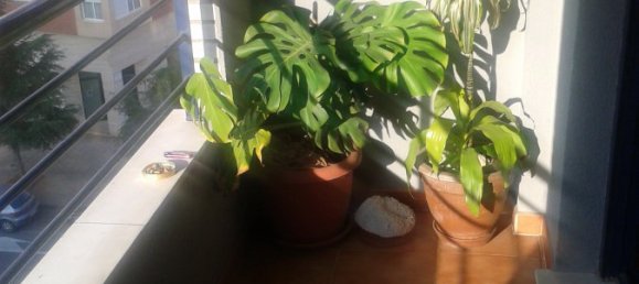 4 غرف نوم شقة في Gandia, Spain رقم 21204 40