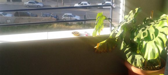 4 غرف نوم شقة في Gandia, Spain رقم 21204 41