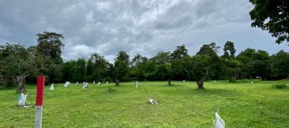 20 bedrooms Commercial property in Chiang Mai, Thailand No. 21877 2