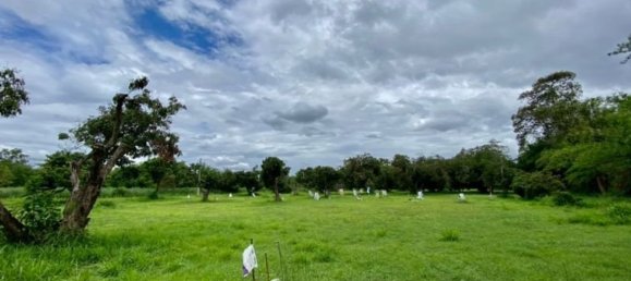 20 bedrooms Commercial property in Chiang Mai, Thailand No. 21877 5