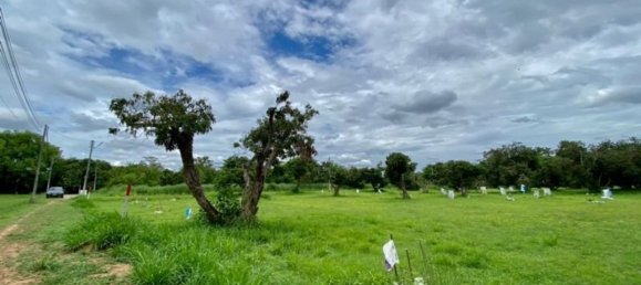 20 bedrooms Commercial property in Chiang Mai, Thailand No. 21877 4