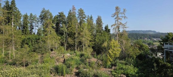  Land in Moosburg, Austria No. 239257 3