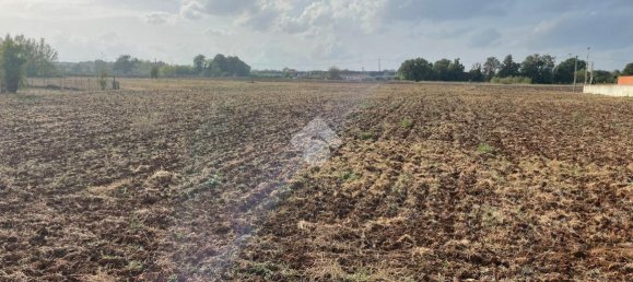 Terreno em Piedimonte San Germano, Italy 25946 m² N.º 159780 2