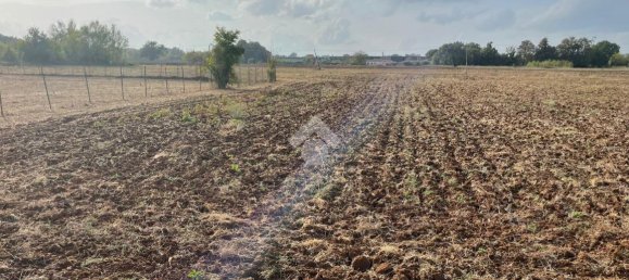 Terreno em Piedimonte San Germano, Italy 25946 m² N.º 159780 4