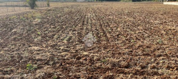 Terreno em Piedimonte San Germano, Italy 25946 m² N.º 159780 12