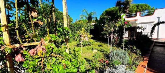 Вилла с 3 комнатами в Скалея, Италия № 123457 11