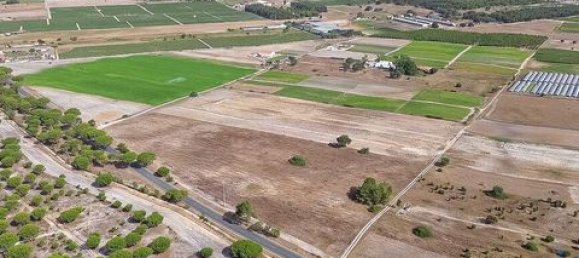 42500m² Land in Montijo, Portugal No. 147725 4