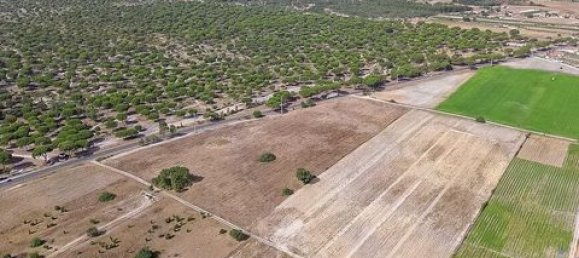 42500m² Land in Montijo, Portugal No. 147725 7