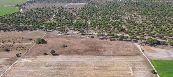 42500m² Land in Montijo, Portugal No. 147725 8