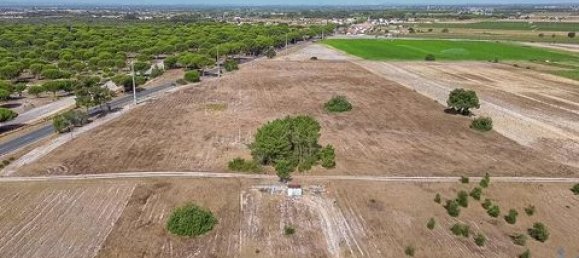 42500m² Land in Montijo, Portugal No. 147725 11