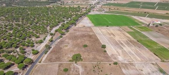42500m² Land in Montijo, Portugal No. 147725 6