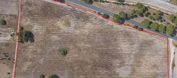 42500m² Land in Montijo, Portugal No. 147725 12