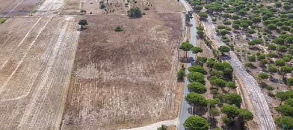 42500m² Land in Montijo, Portugal No. 147725 2