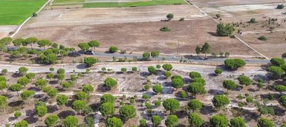 42500m² Land in Montijo, Portugal No. 147725 3