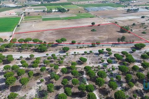 42500m² Land in Montijo, Portugal No. 147725
