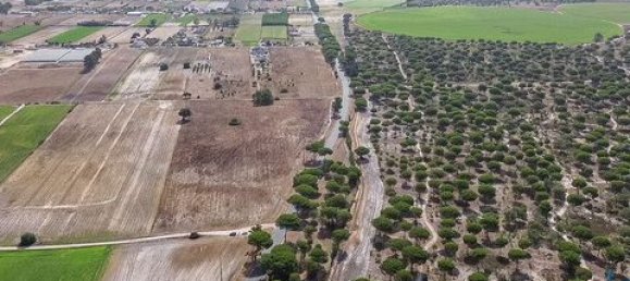 42500m² Land in Montijo, Portugal No. 147725 10