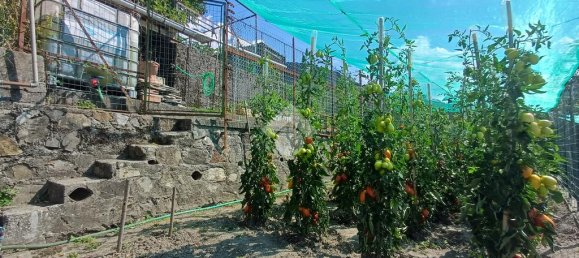 Casa de 2 dormitorios en Ronco Scrivia, Italy No. 298339 44