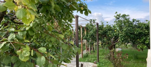 6غرفة فيلا في San Pietro Vernotico, Italy رقم 129438 28