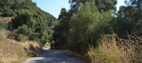 Grundstück in Corfu, Greece 4450m², Nr. 103218 12