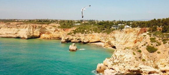 Дом с 3 спальнями в Лагоа, Португалия № 92108 19