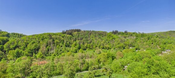 4 bedrooms Apartment in Rhein-Lahn, Germany No. 364624 15