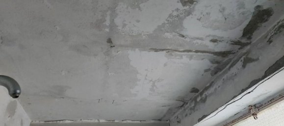 Propriété commerciale à Cervia, Italy 46m² No. 372058 9