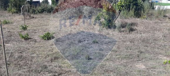 Grundstück in Pombal, Portugal 683m², Nr. 73733 4