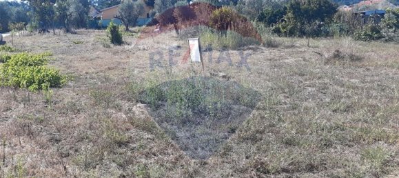 Grundstück in Pombal, Portugal 683m², Nr. 73733 2