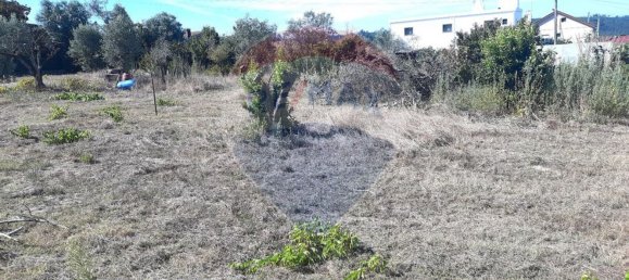 Grundstück in Pombal, Portugal 683m², Nr. 73733 3