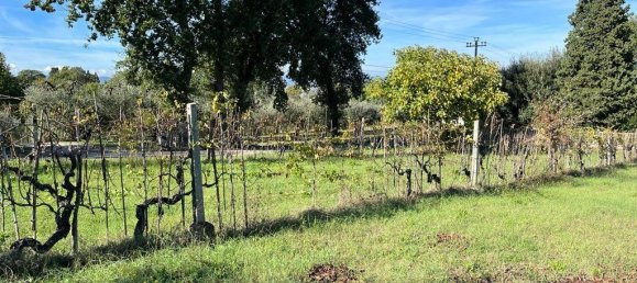 4 rooms Villa in Terni, Italy No. 106619 5