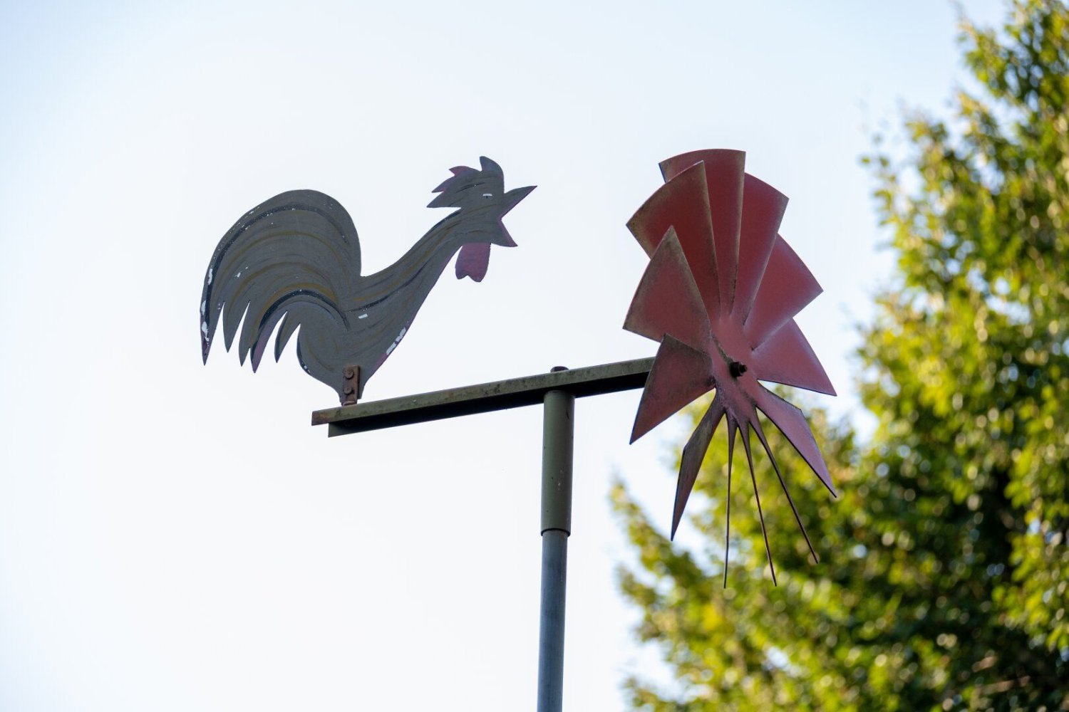  Land in Velden am Worther See, Austria No. 226422